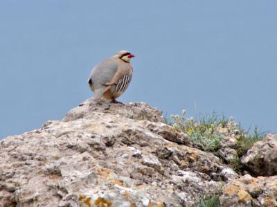 Прикрепленное изображение: zb49.jpg